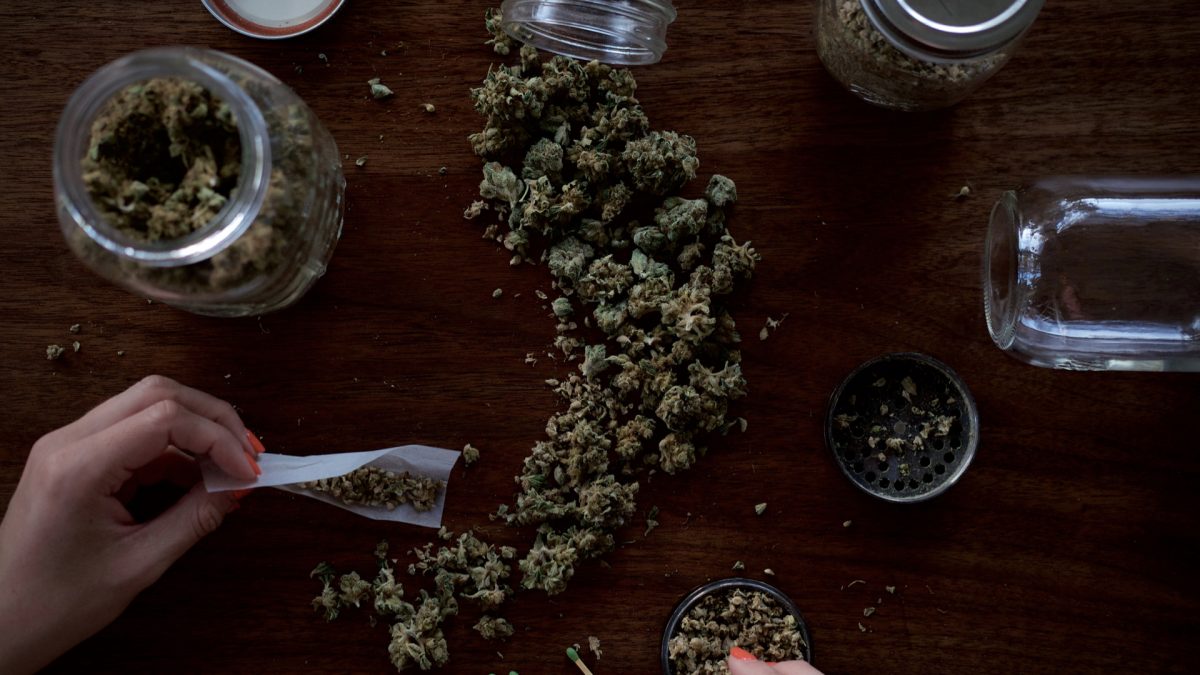 cannabis