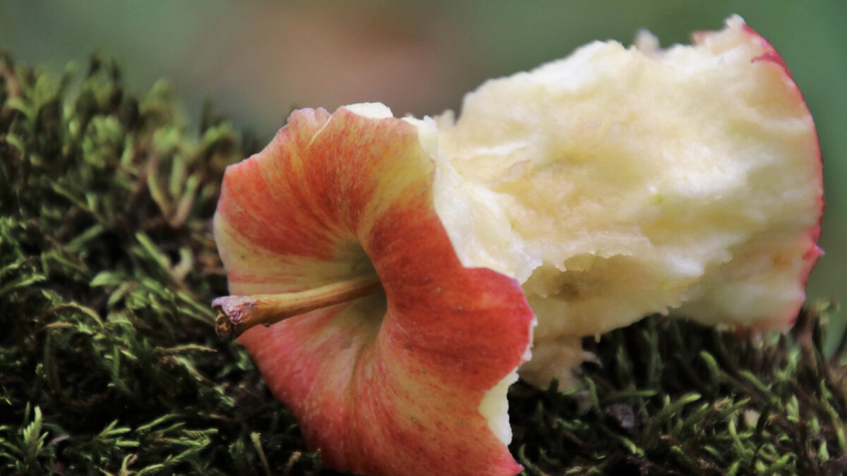 Apple core