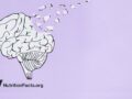 image of a brain floating off in pieces