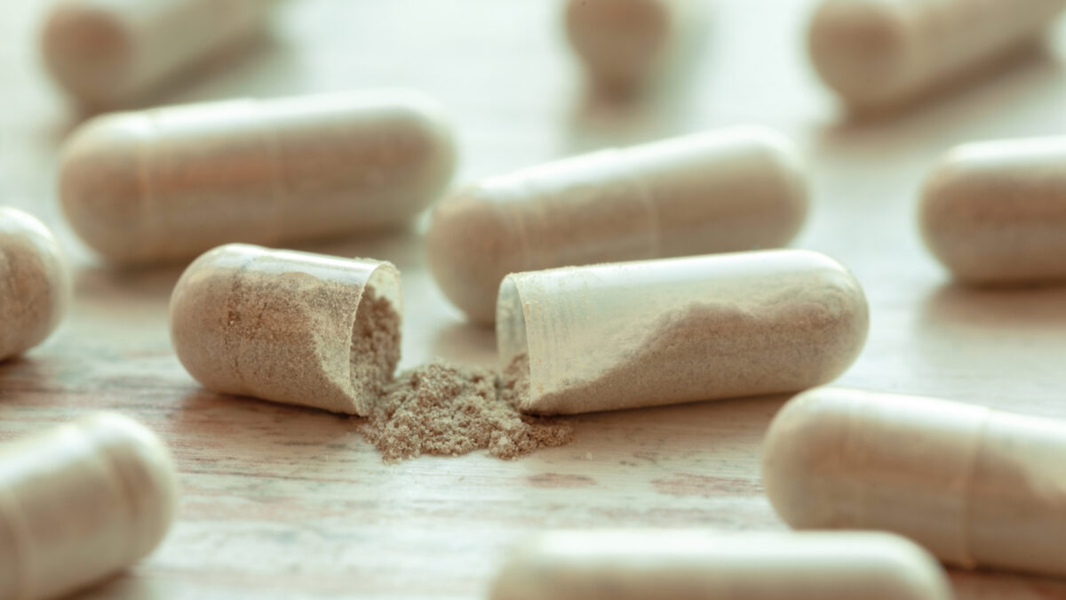 shark cartilage powder capsules