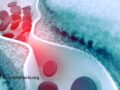 scientific illustration of inflammation