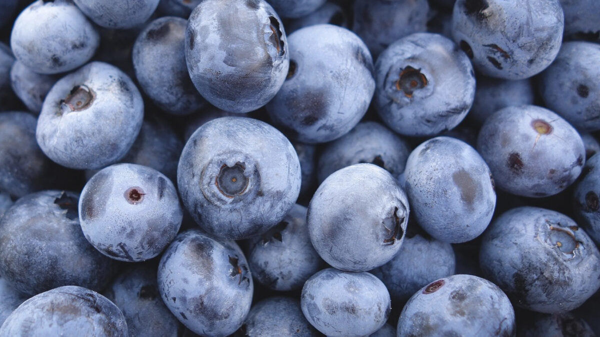 Blueberries
