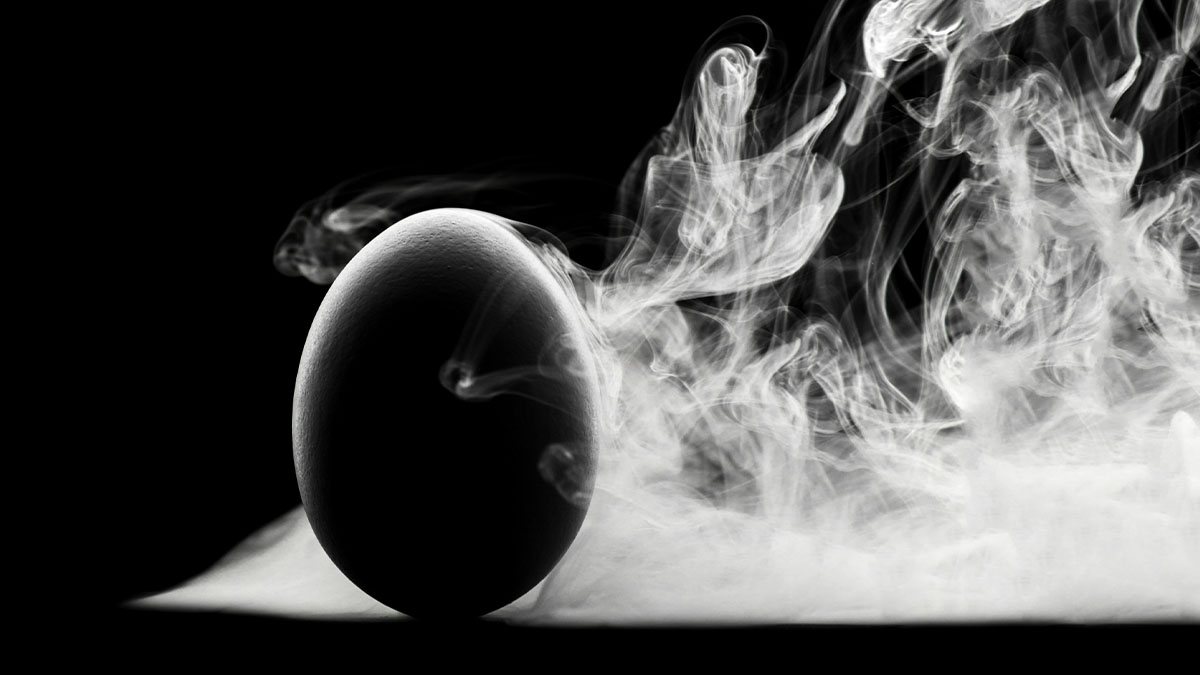 Eggs, Cigarettes, and Atherosclerosis
