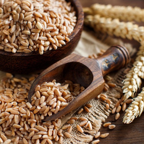 Gluten
