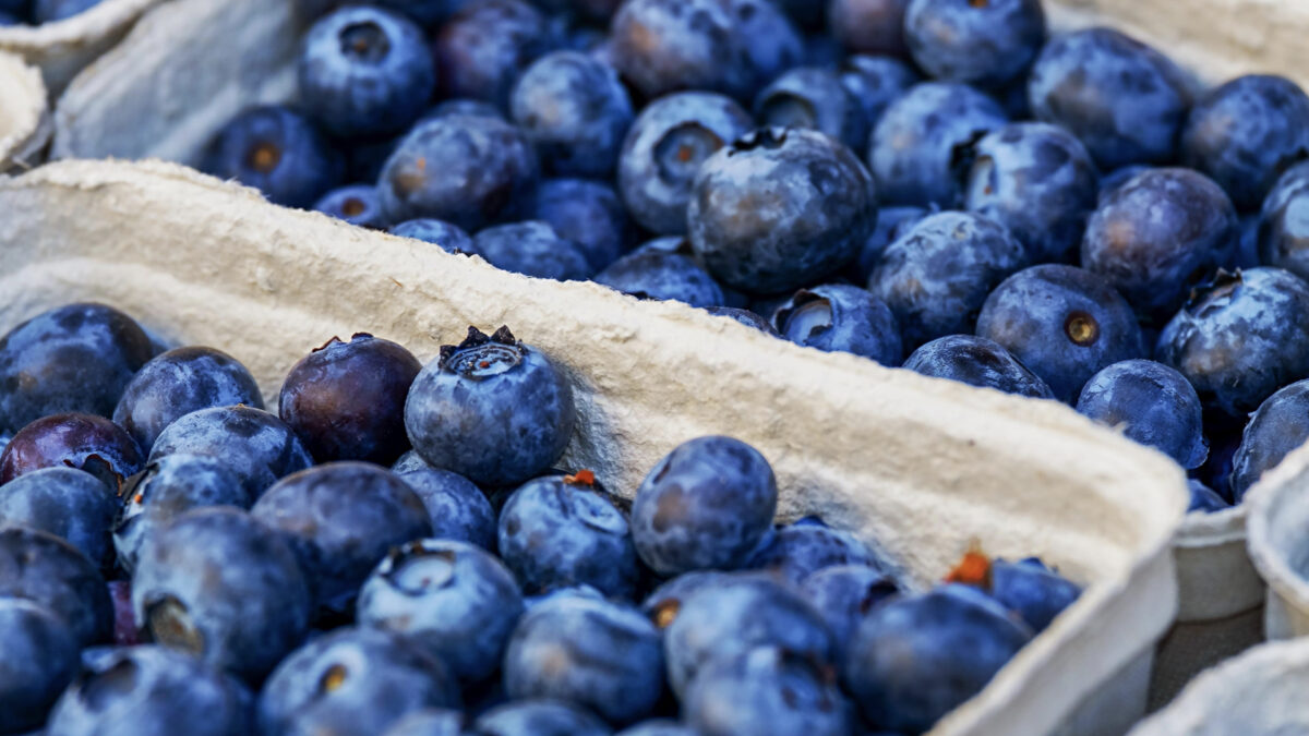 Blueberries