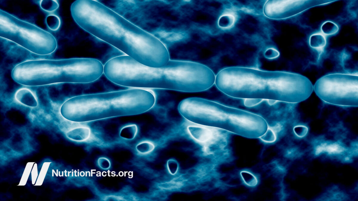 Digital drawing of bacteria