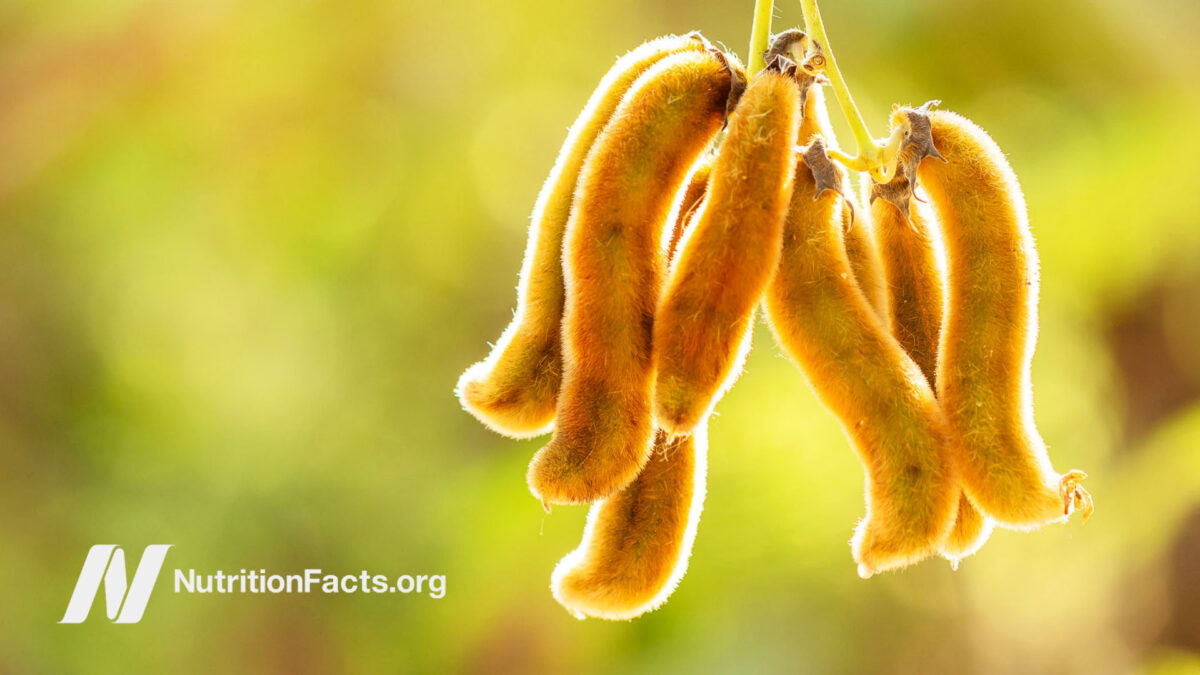 Velvet beans with a blurred background