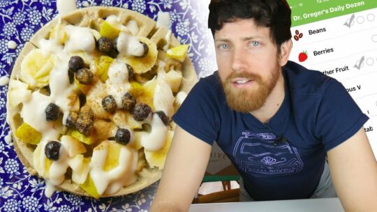 Mic the Vegan