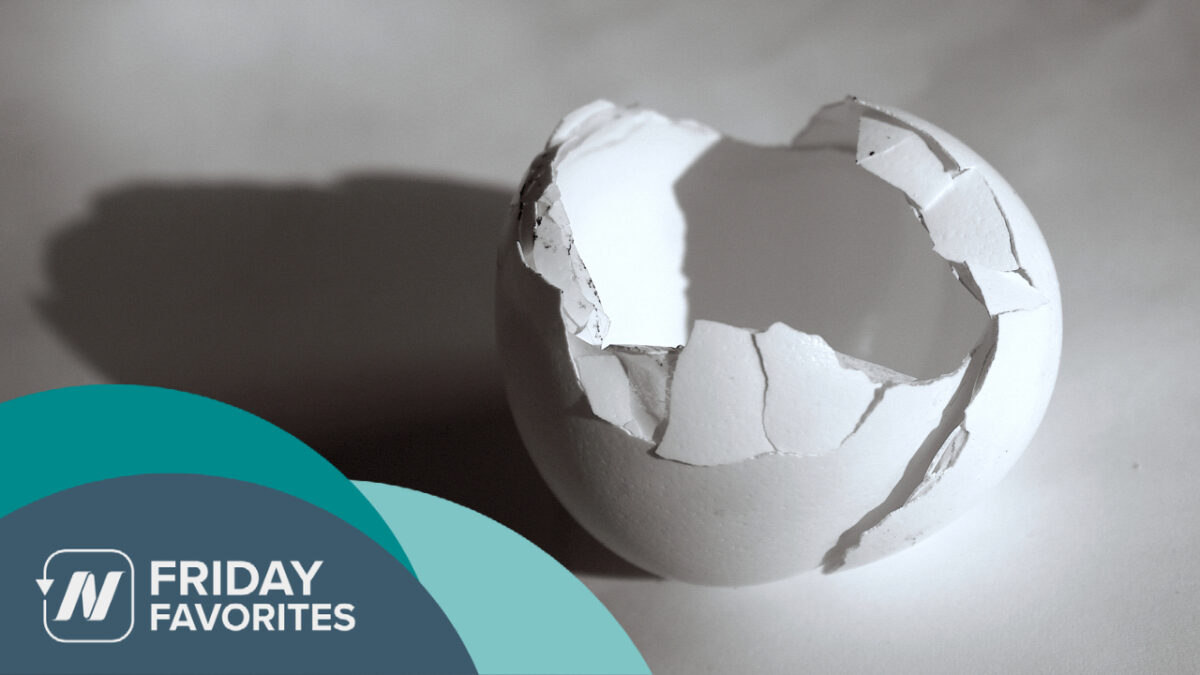 cracked egg shell