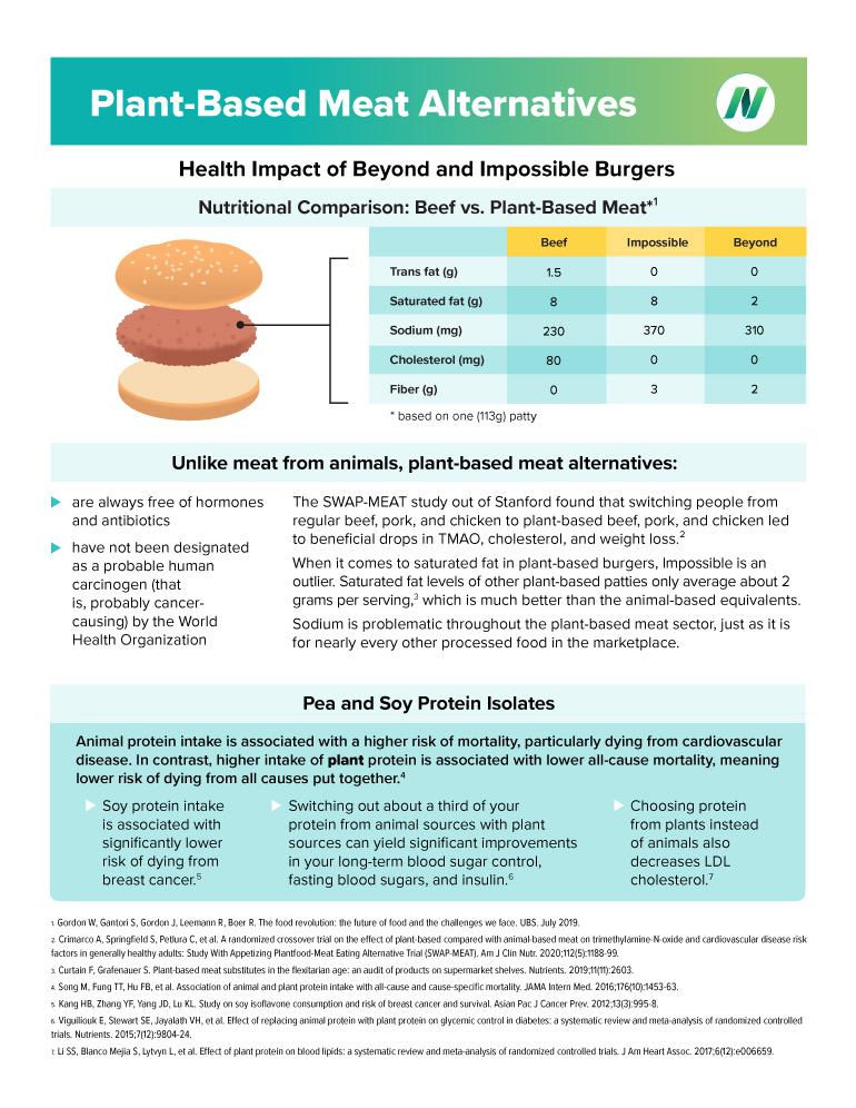 Plant based meat alternatives fact sheet