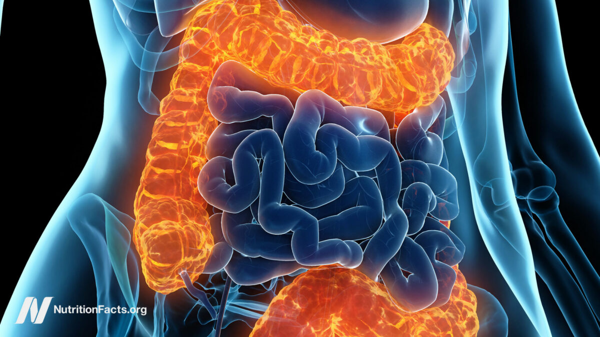 Digital illustration of inner workings of abdomen