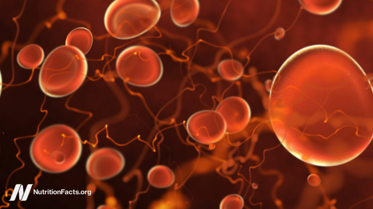 Digital illustration of angiogenesis