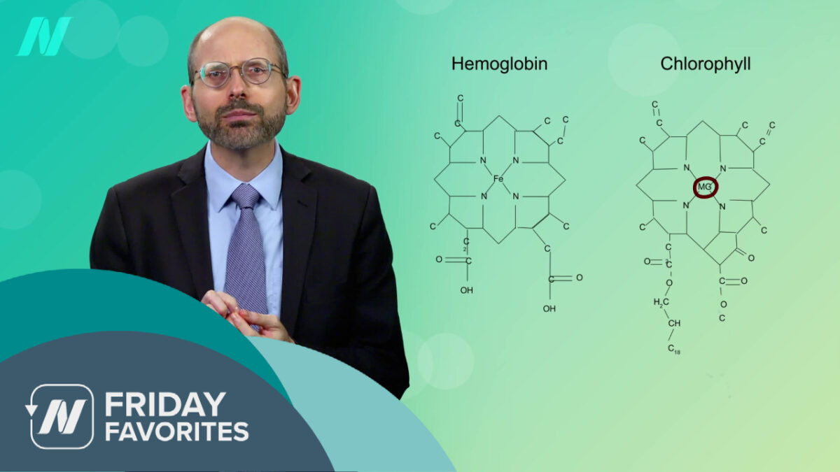 picture of Dr. Greger