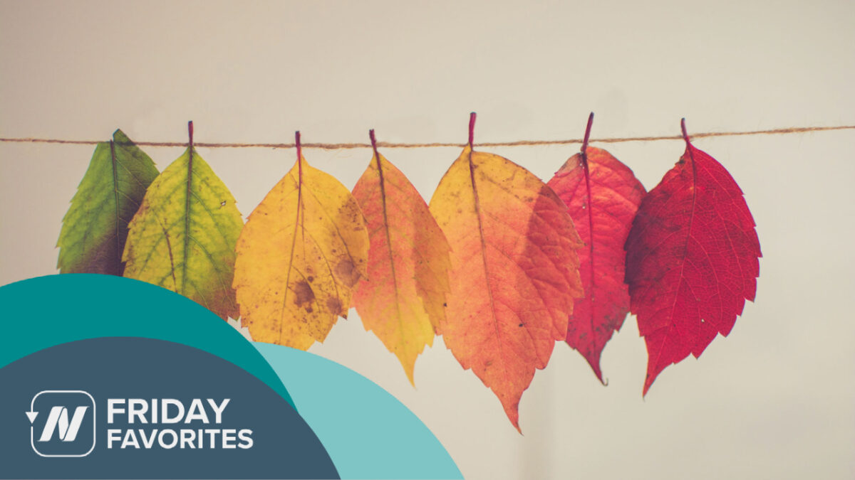 colorful leaves