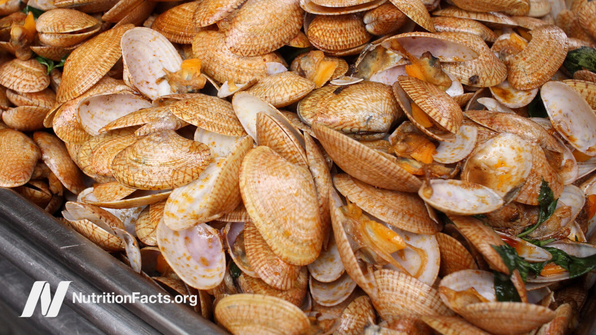Shellfish in a container at a market