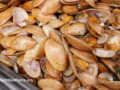 Shellfish in a container at a market