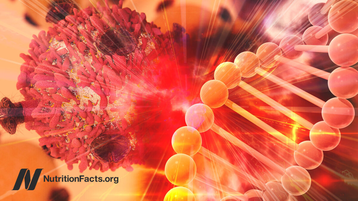 illustration of telomeres