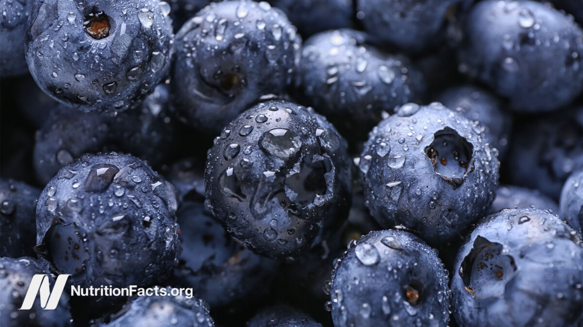 Close up of blueberries freshly washed
