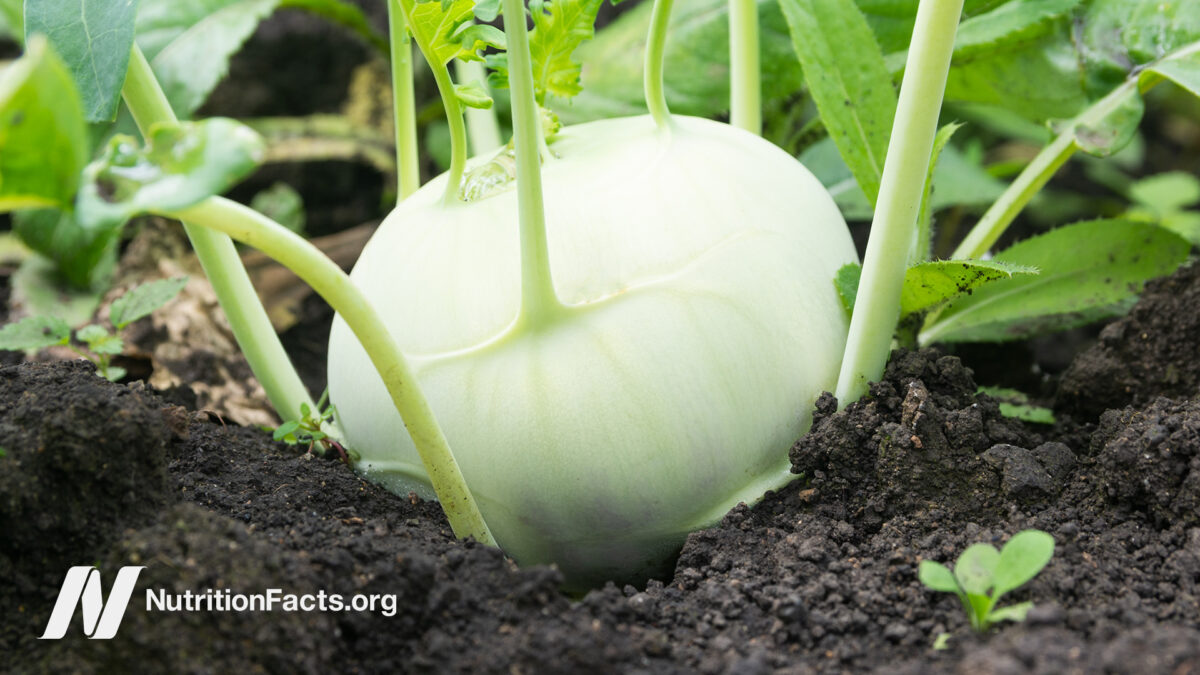 Turnip growing in a garden