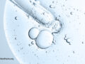 Close up of a petri dish with cells