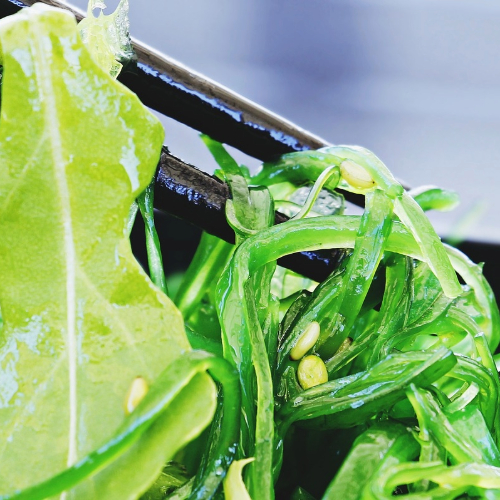 Wakame