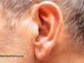 A person's ear straight on