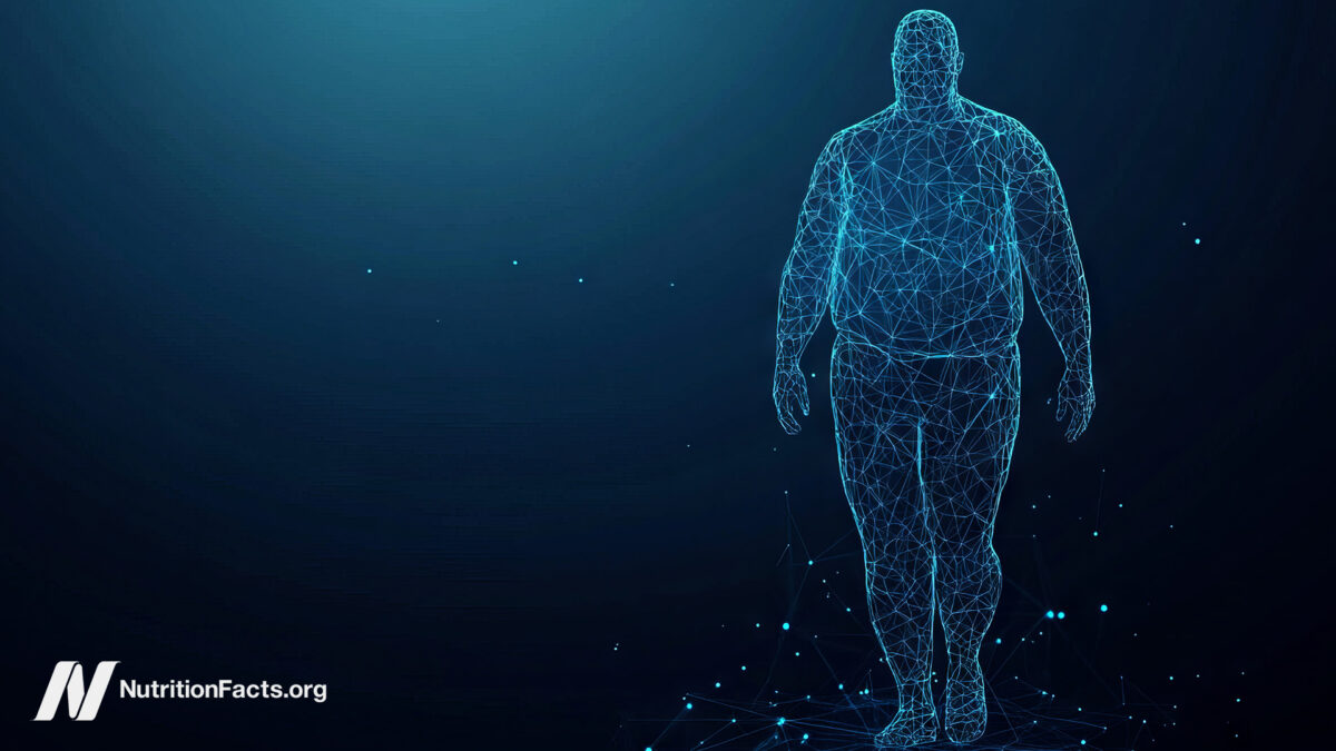 geometrical illustration of an overweight body