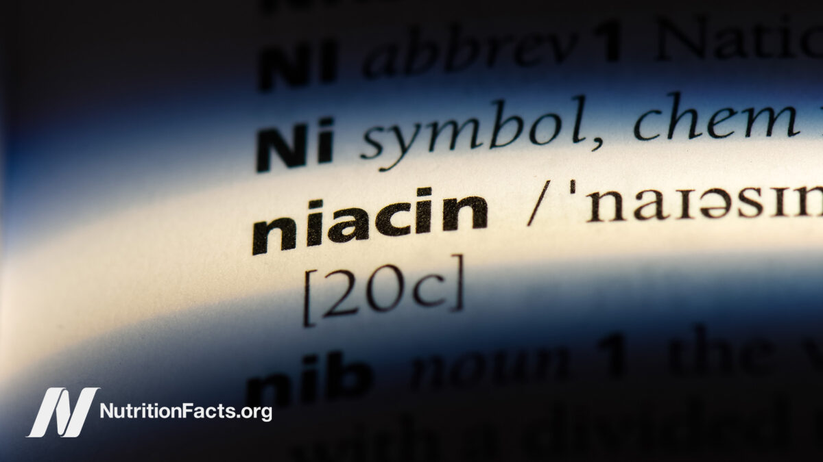 Close up of niacin in the dictionary