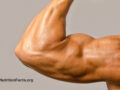 Closeup view of a large arms with muscles in front of a beige background