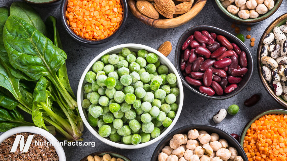 A variety of plant based protein sources including soy, nuts, beans