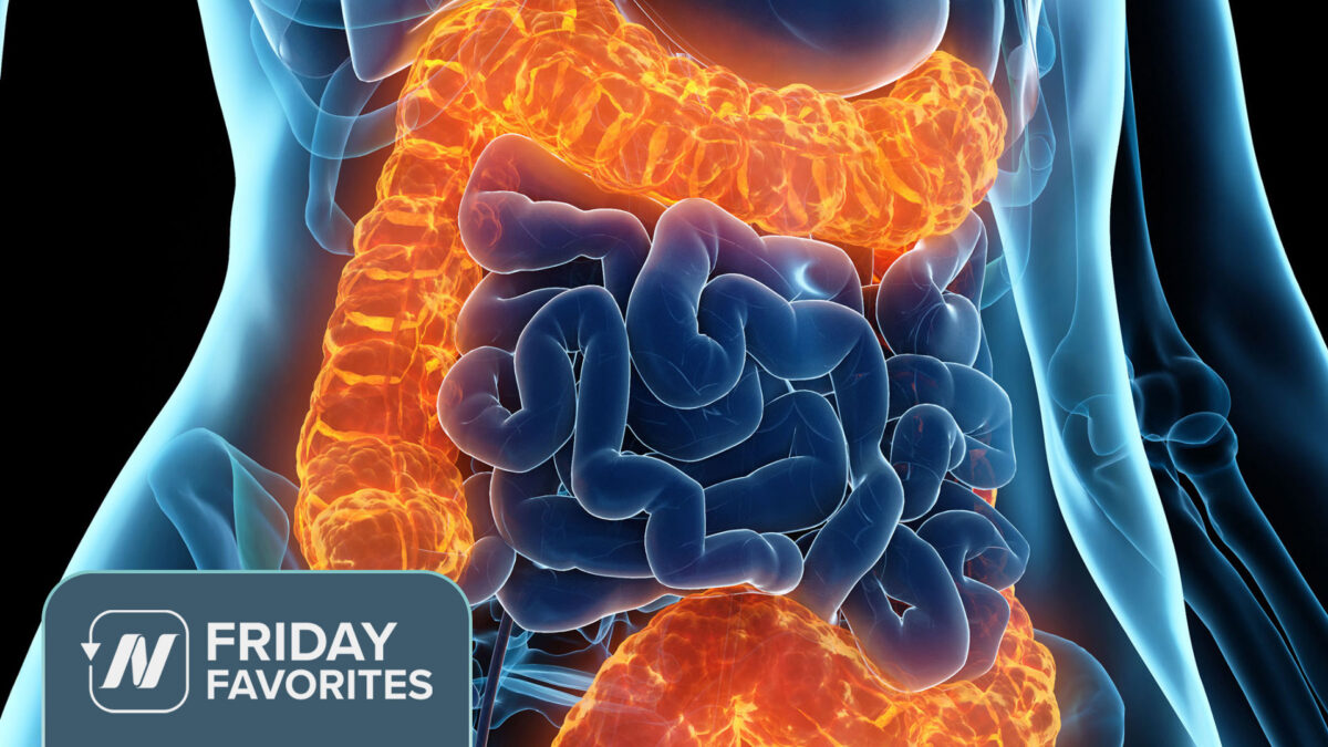 image of the digestive tract