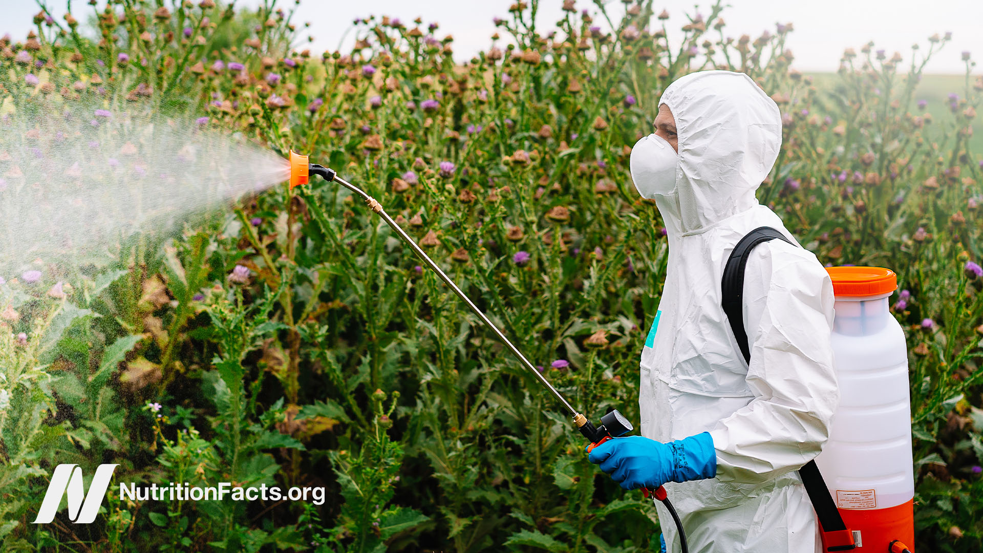 glyphosate use in us tobacco farming Map of America Nice how they straight up
