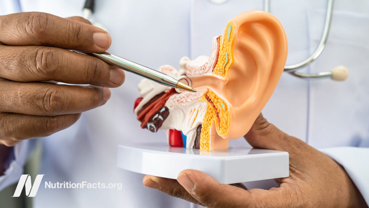 Doctor pointing to a medical ear model