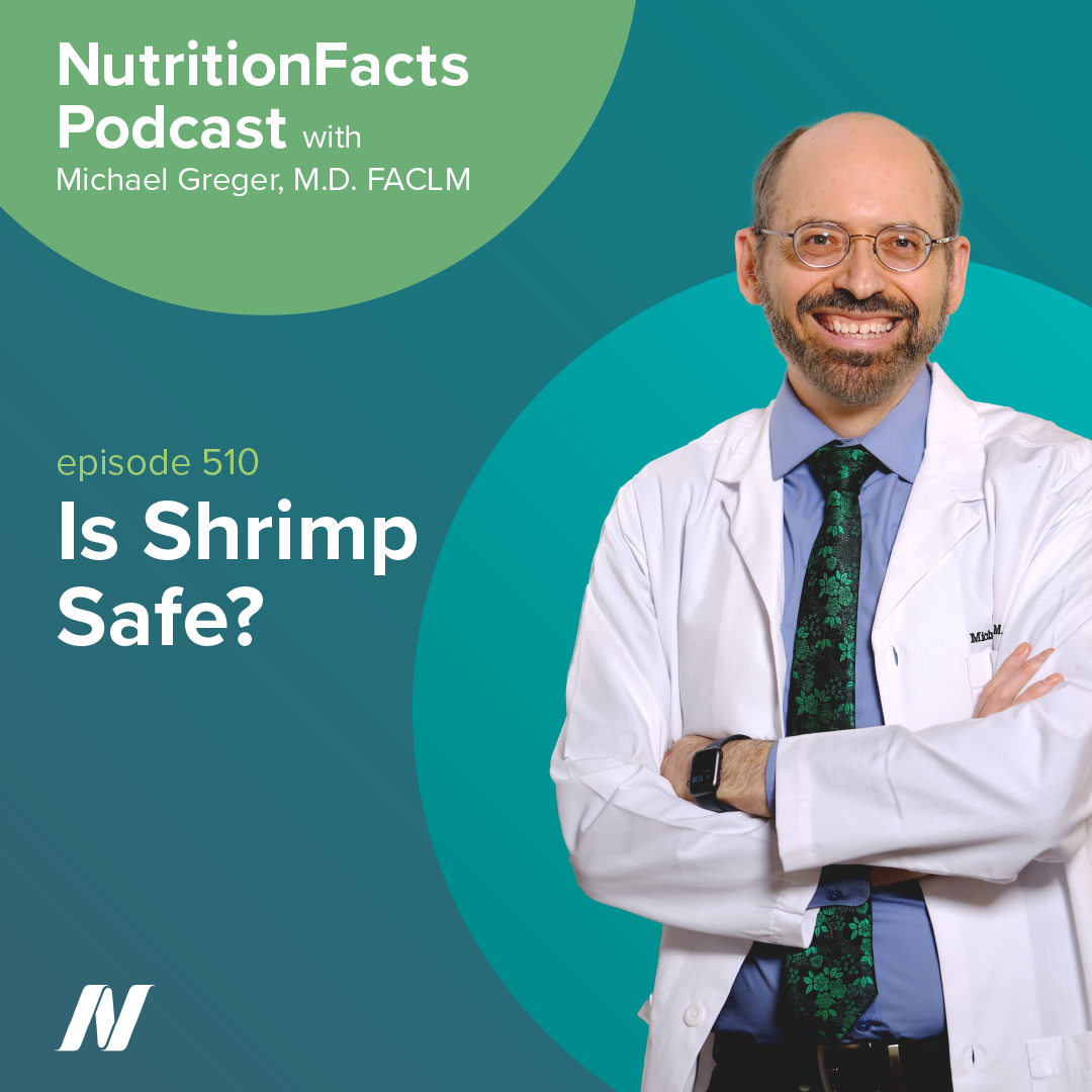 Is Shrimp Safe?