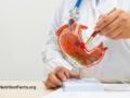 Medical professional in scrubs holding up a pen to a medical display of a stomach