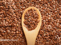 A wooden spoon full of flax seeds sits on top of a pile of flax seeds