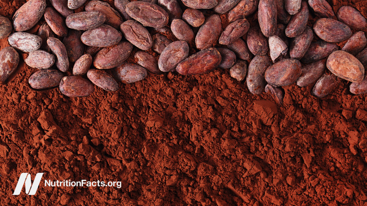 Close-up view of cocoa powder next to cocoa beans