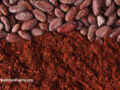 Close-up view of cocoa powder next to cocoa beans