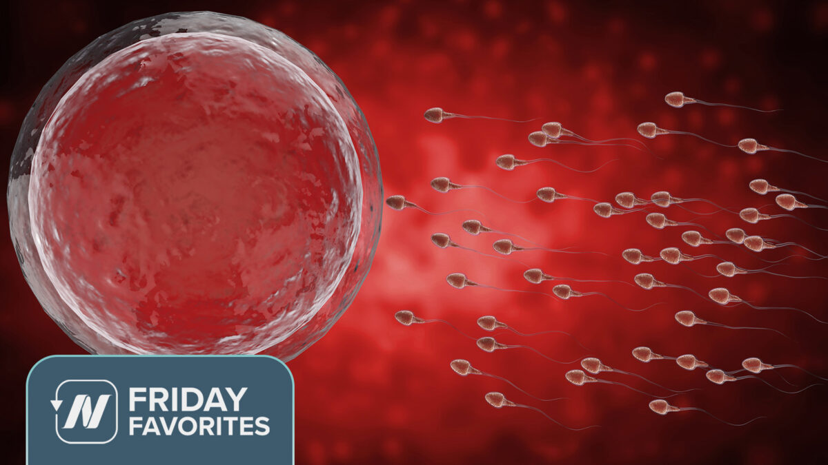Digital illustration of sperm cells chasing an egg cell
