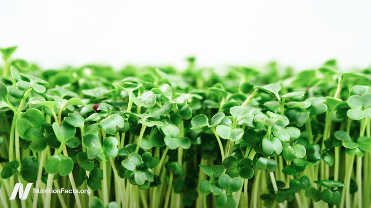 The Best Foods to Fight H. Pylori